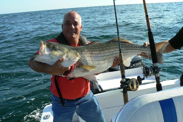 no fluke fishing: Block Island Stiped Bass Fishing