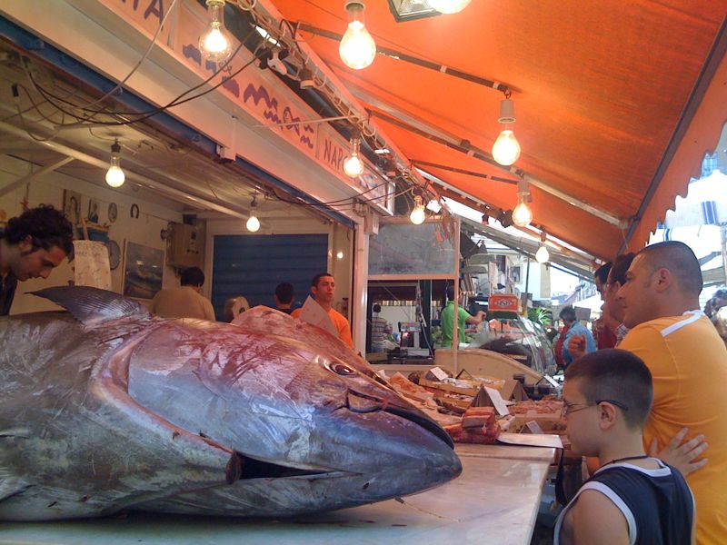 [IMG_0914-712802.jpg]