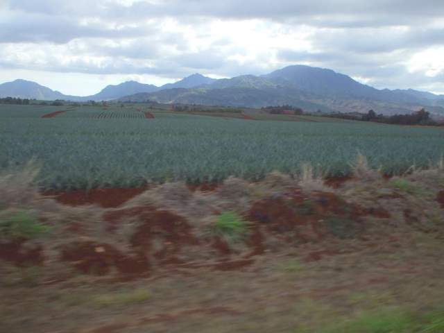 [DSCF5772.JPG]
