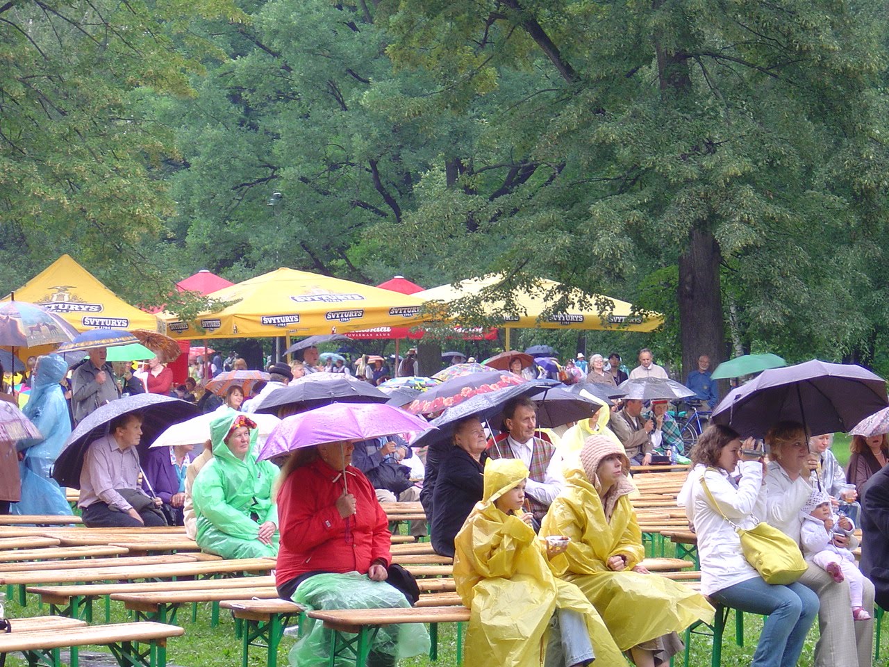 [DSC08125.JPG]