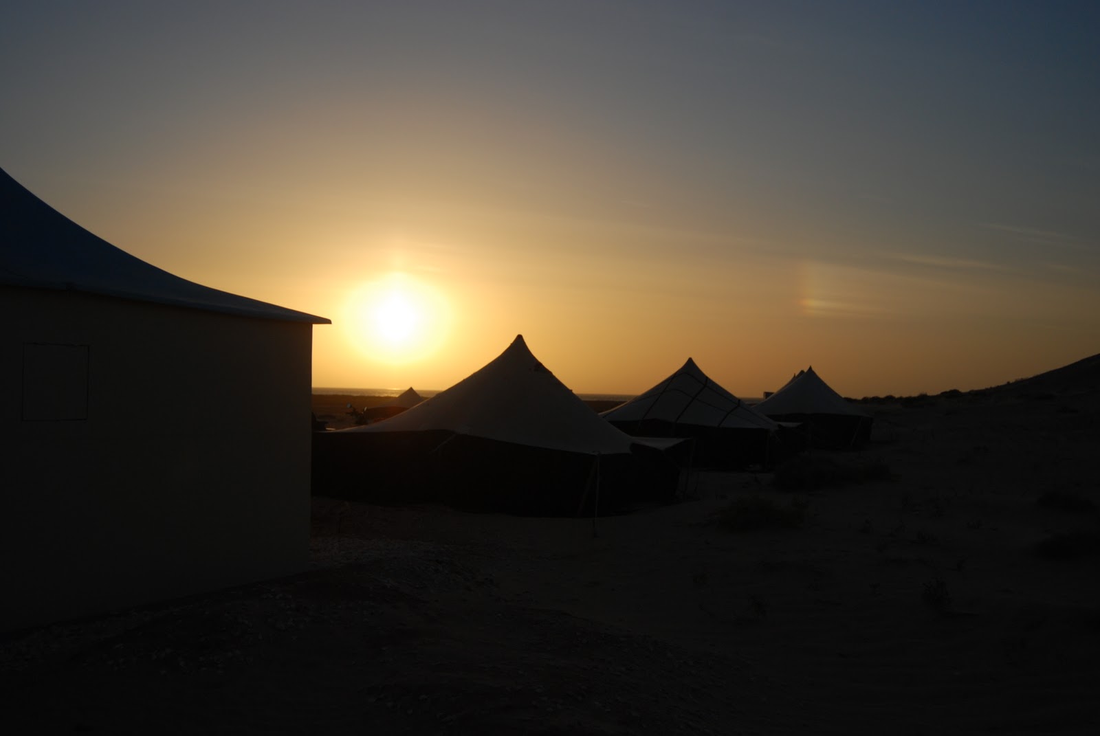 [DSC_3277.JPG]