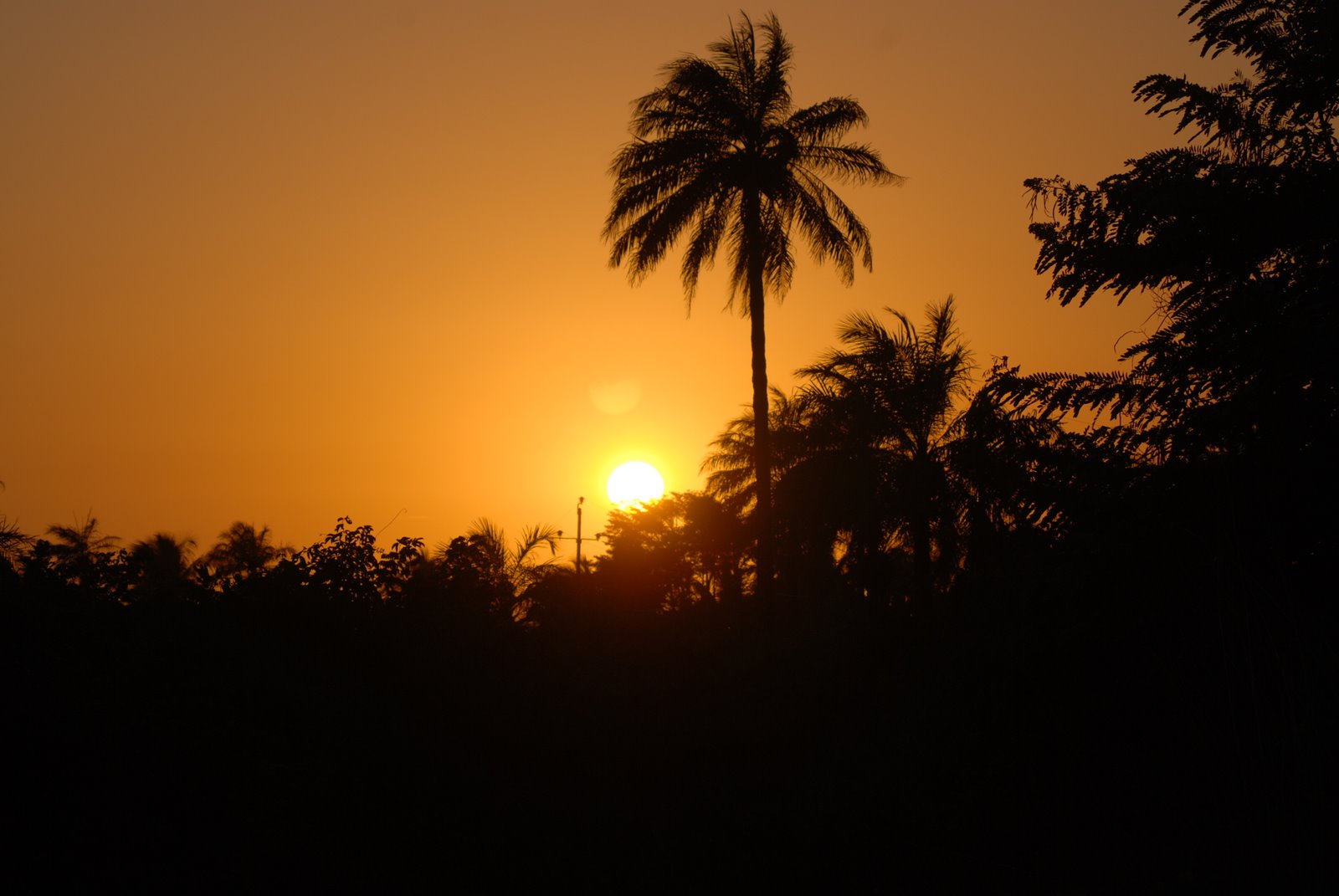 [DSC_2898.JPG]