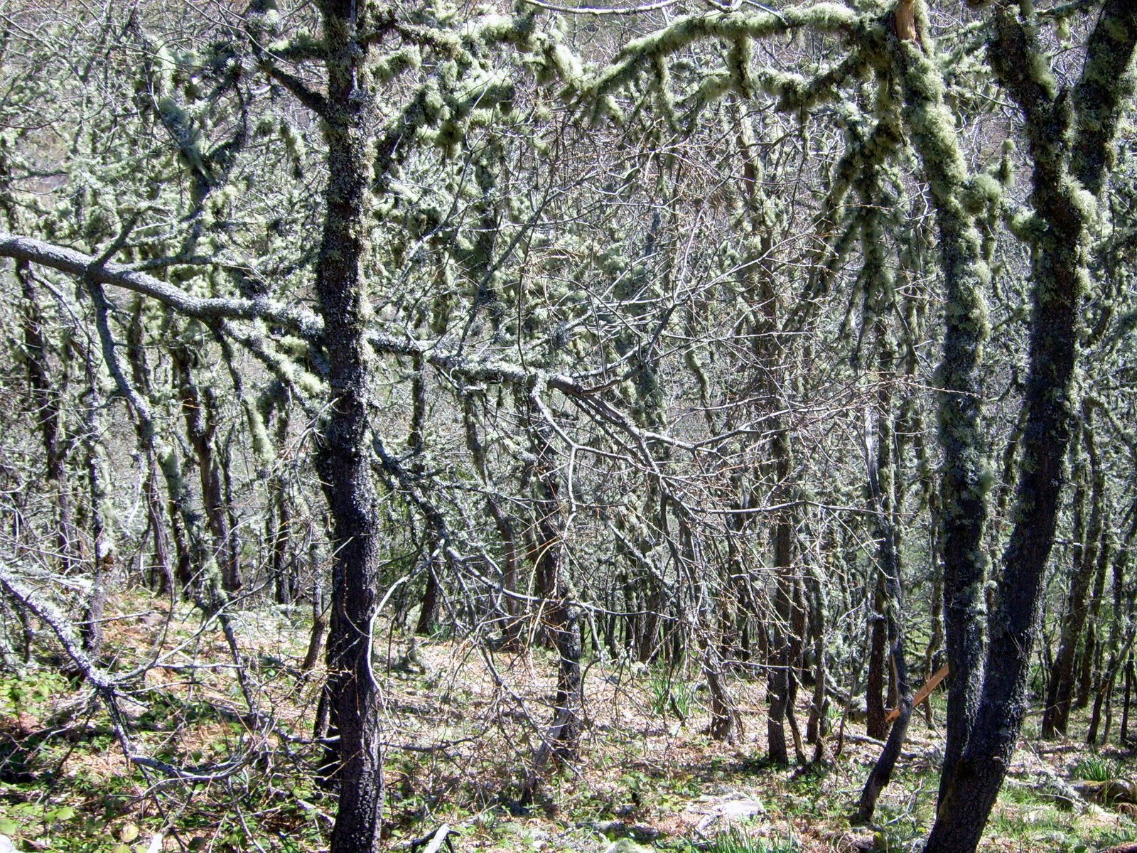 [IMG_0018.JPG]