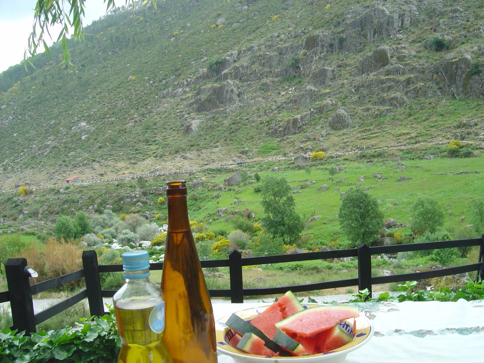 [DSC01555.JPG]