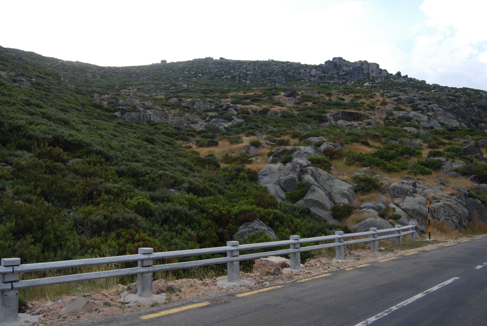 [DSC_4031.JPG]