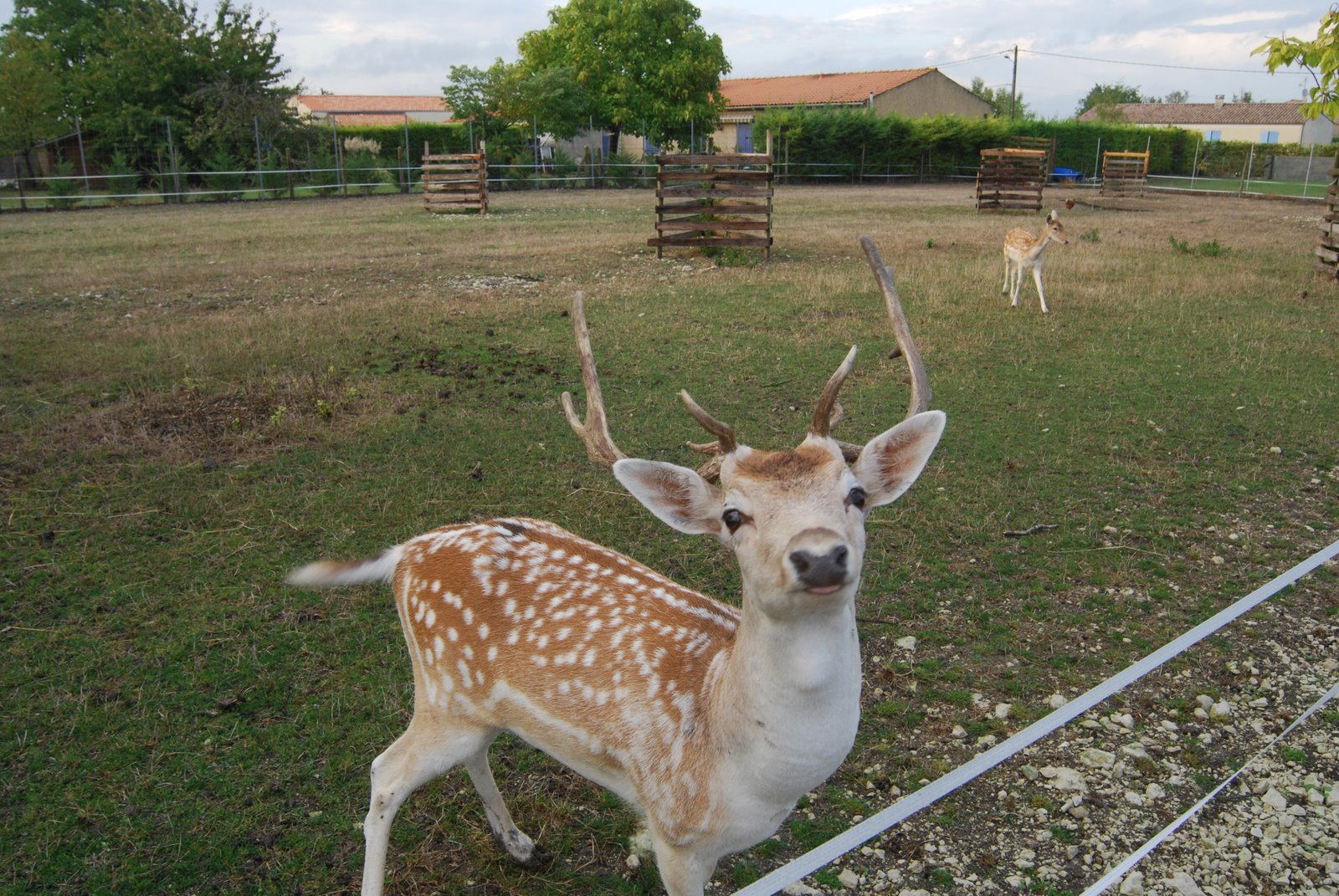 [DSC_4400.JPG]