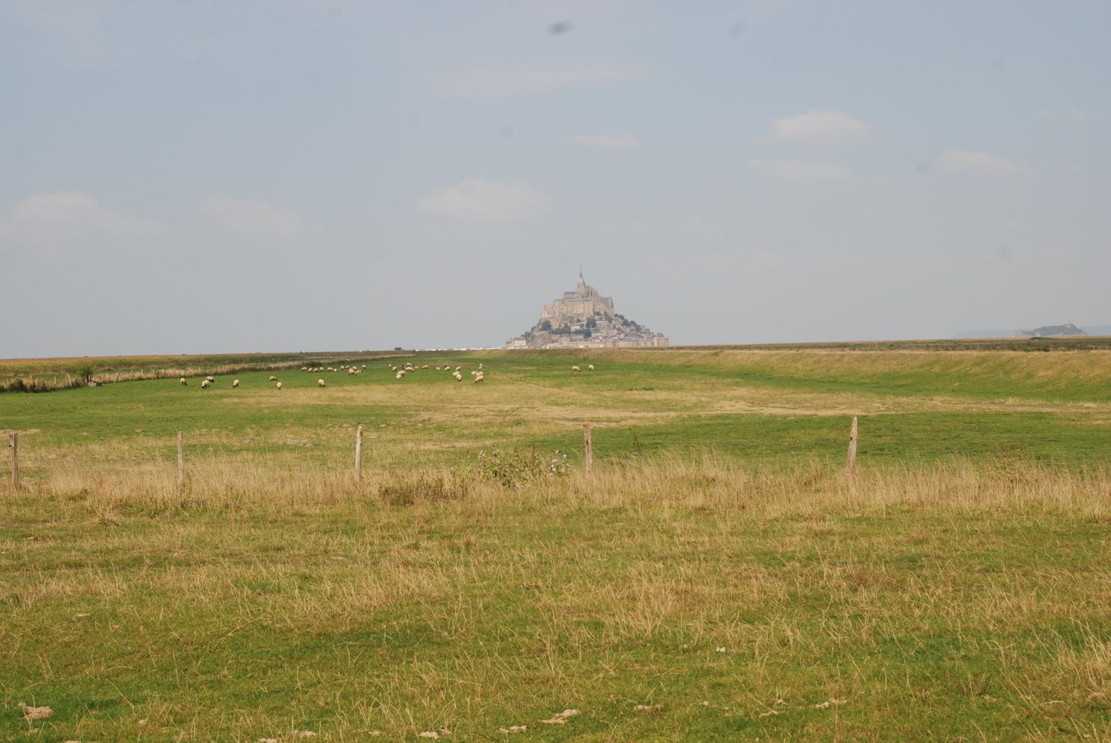 [DSC_4330.JPG]