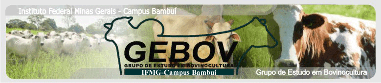 GEBOV