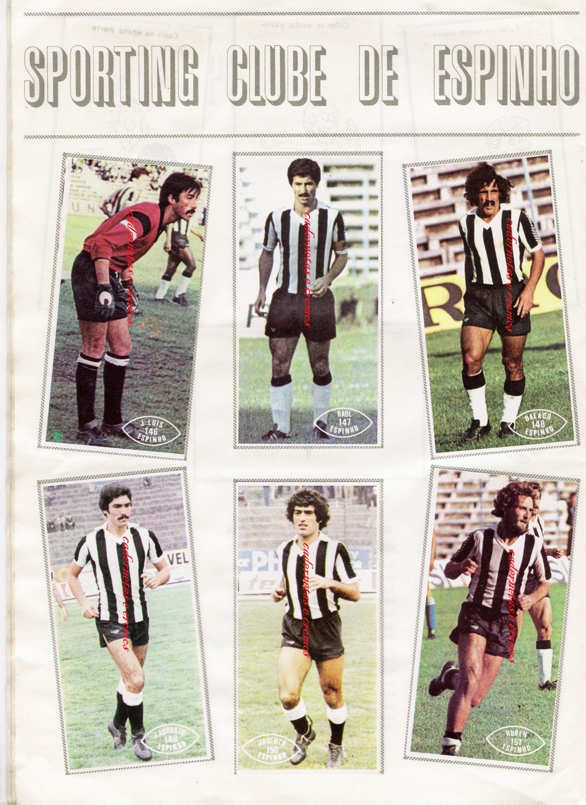 [espinho0002.jpg]