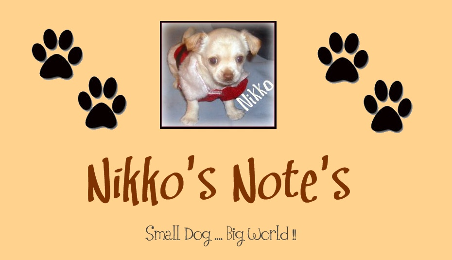 Nikkos Note's