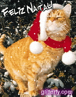 [natalcat.gif]