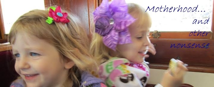 Motherhood and Other Nonsense
