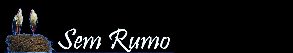 SEM RUMO...