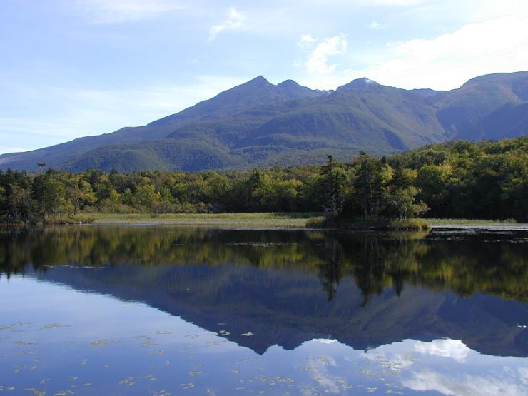 Reflexión especular