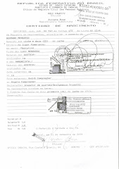 CERTIDÃO DE NASCIMENTO DE GERMANO MENGARDA