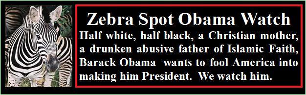 Zebra Spot Obama Watch