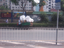 Thurs-Carrying a load on a bike!