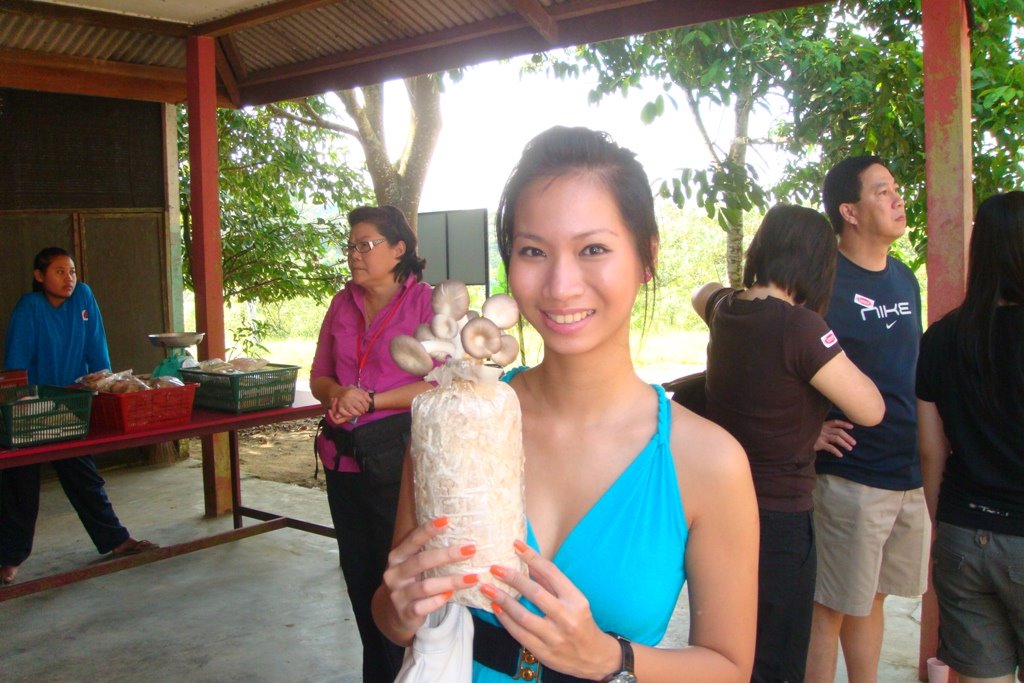 [DSC04177.JPG]