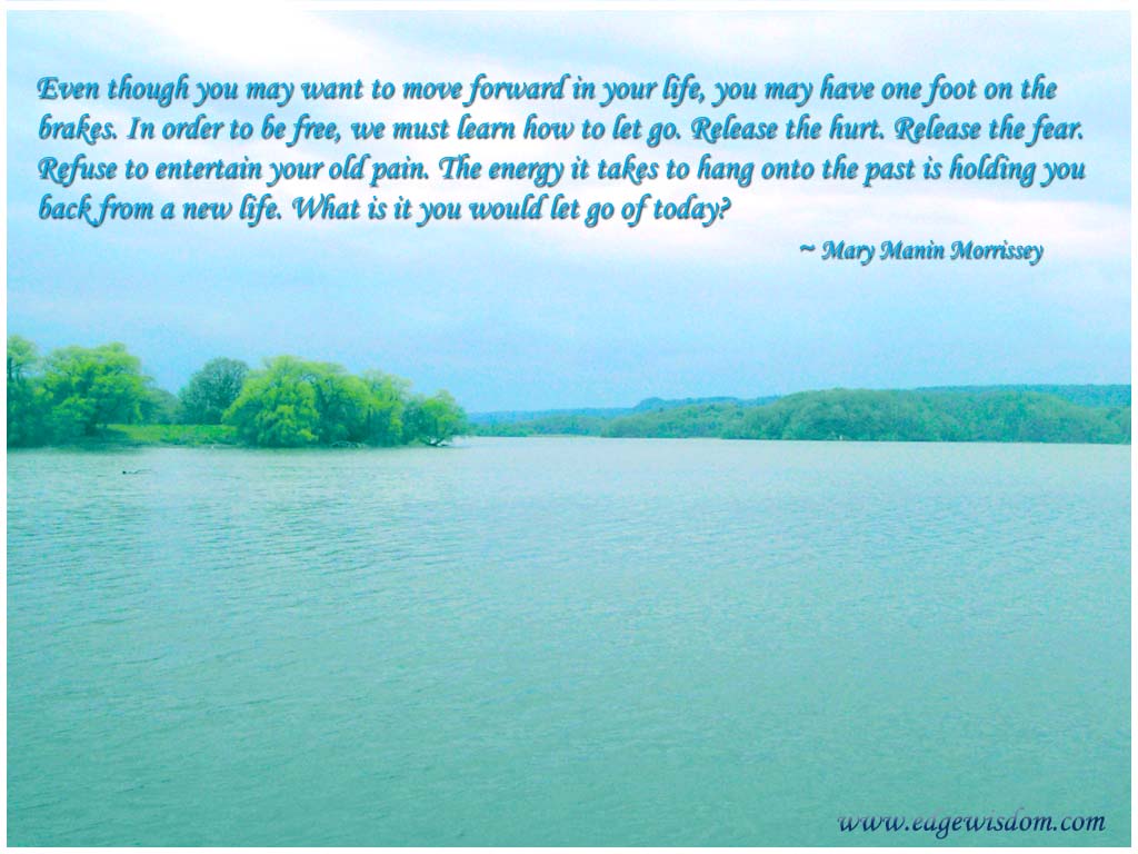 http://2.bp.blogspot.com/_g8V_lnBEhjs/TNxS1cF0p8I/AAAAAAAAAHQ/VFFhyEuEDxk/s1600/letting%20go%20quote.jpg