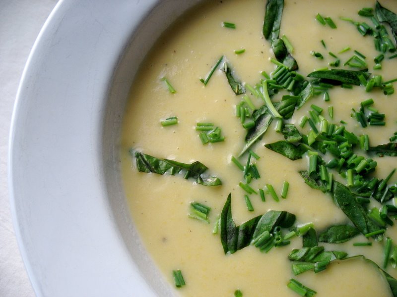 [summer+squash+soup.jpg]