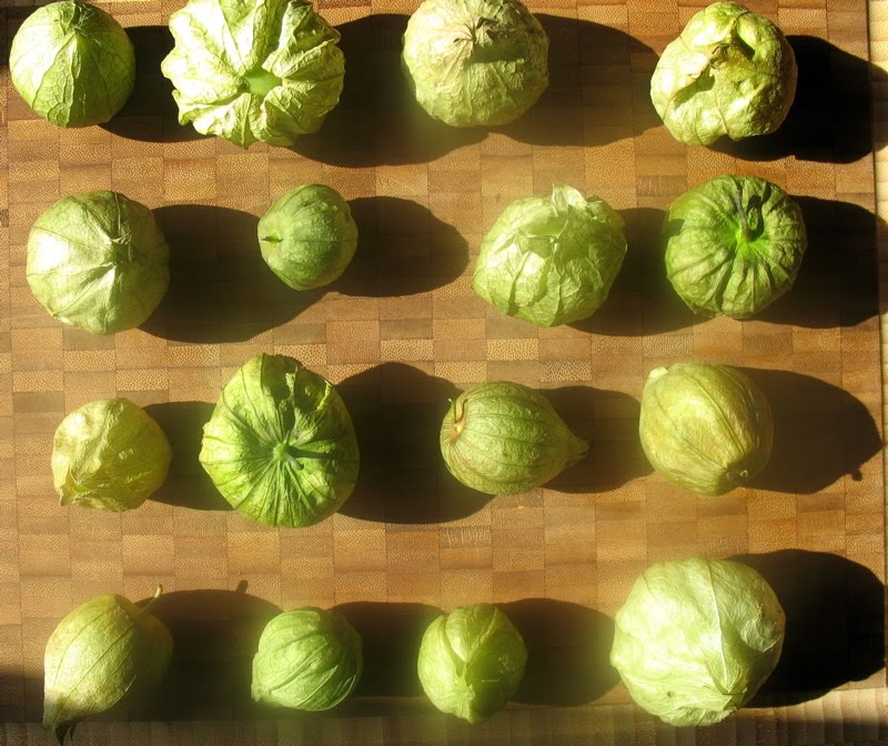 [tomatillo+2.jpg]