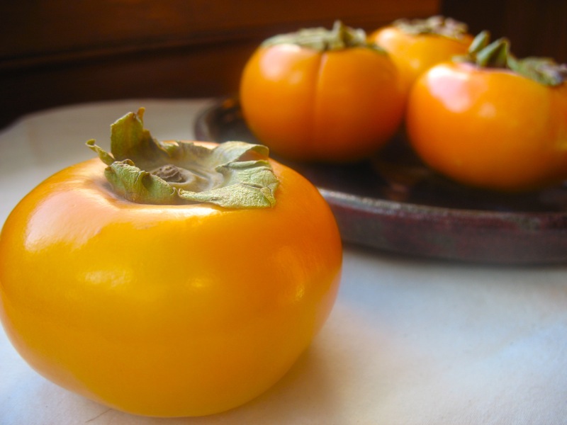 [persimmon+1.jpg]