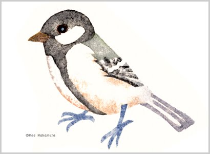鳥のイラストpart1 1 水彩イラストレーター Kae S Blog