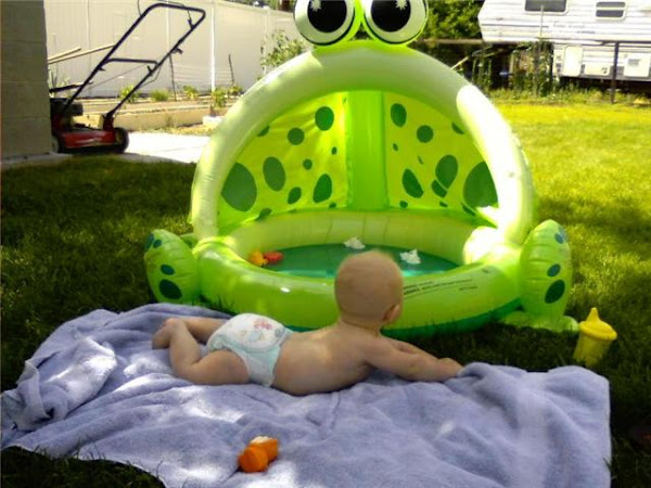 Harry absolutely loves swimming in his frog pool.
