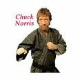 popular humor style of chuck norris facts and jokes