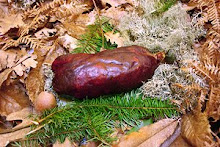 Salpicão de Vinhais