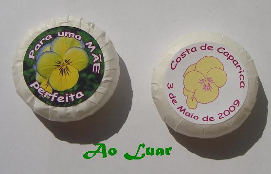 [DSC01545.JPG]