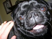 The Stinker of the House
