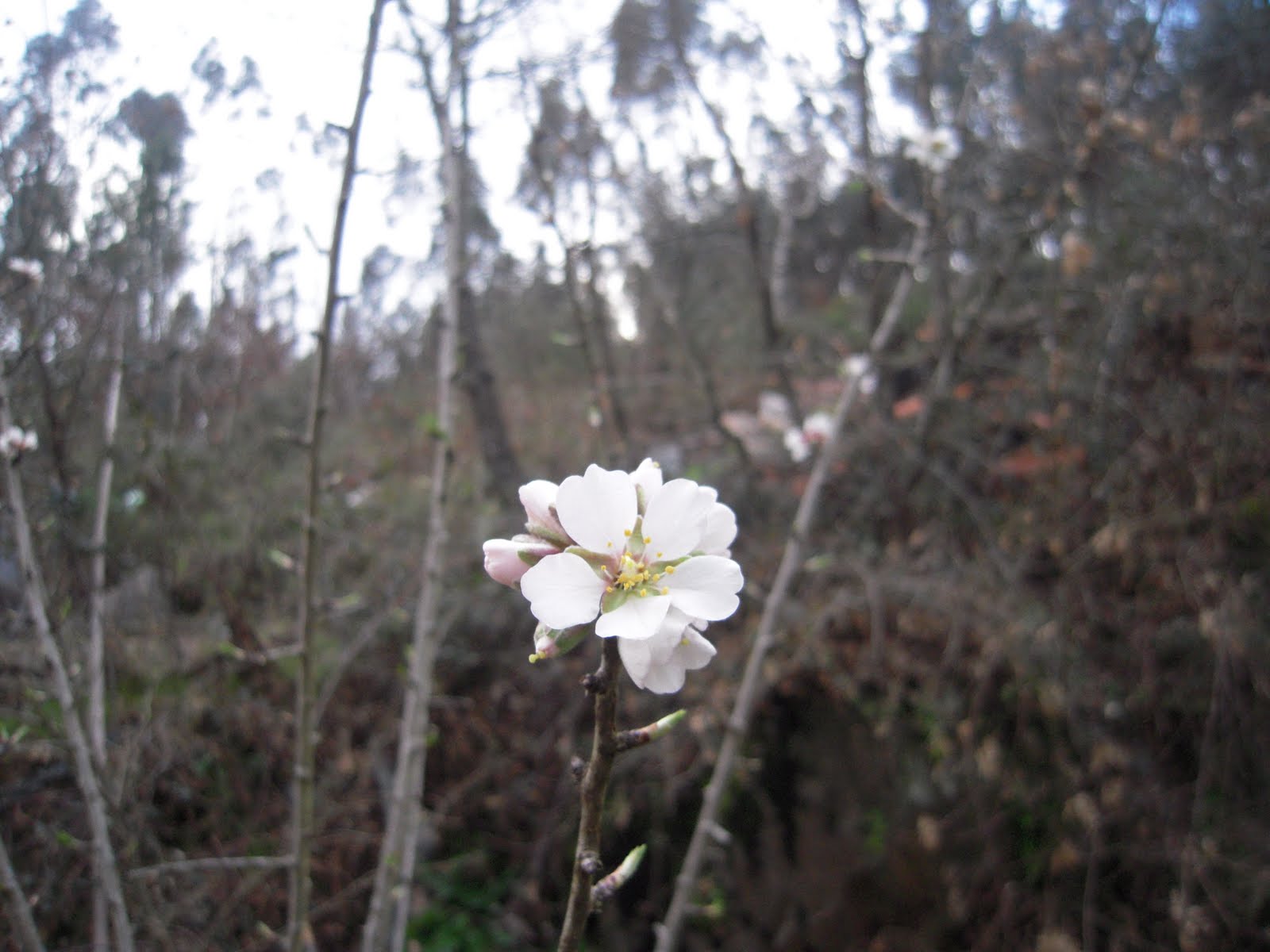 [DSCN2894.JPG]