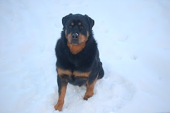 O meu bebé na neve..