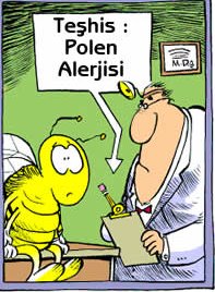 [polen.bmp]