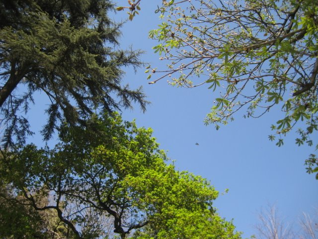 [IMG_5281.JPG]