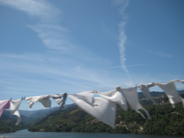 [IMG_5699.JPG]