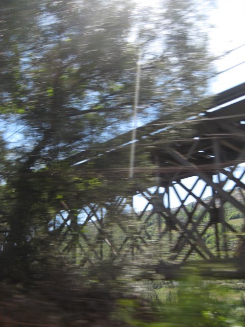 [IMG_5716.JPG]