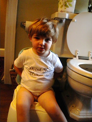 portable potty seat target