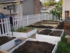 Another view of the garden