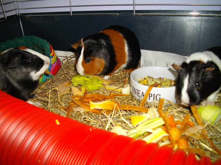 Marigold, Sweetpea and Beatrix