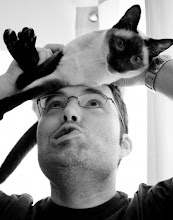 TheVoice Designs: Online Tools ...