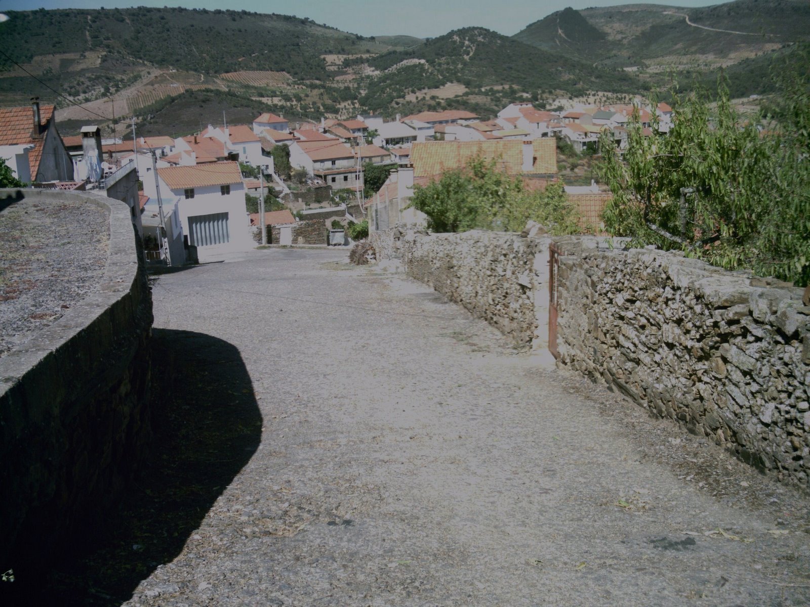 [SUNP0003.JPG]
