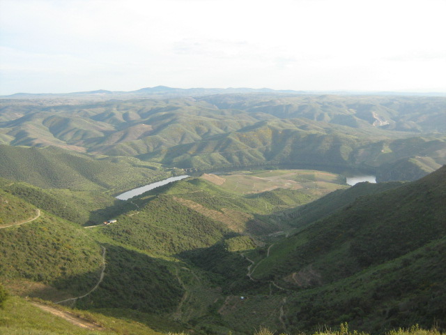 [Douro+visto+da+PIPA.JPG]