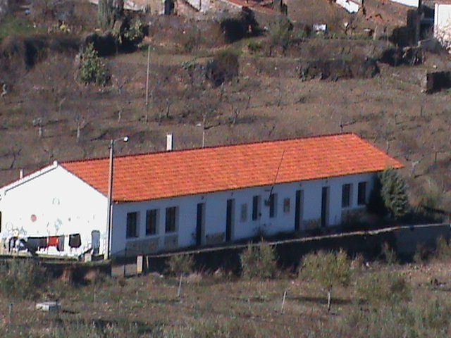 [Escola+Primária1.JPG]