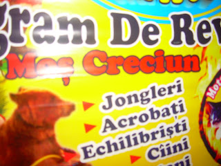 DSCN3437.JPG