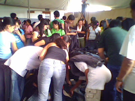 All Things Chuva Bench Warehouse Sale