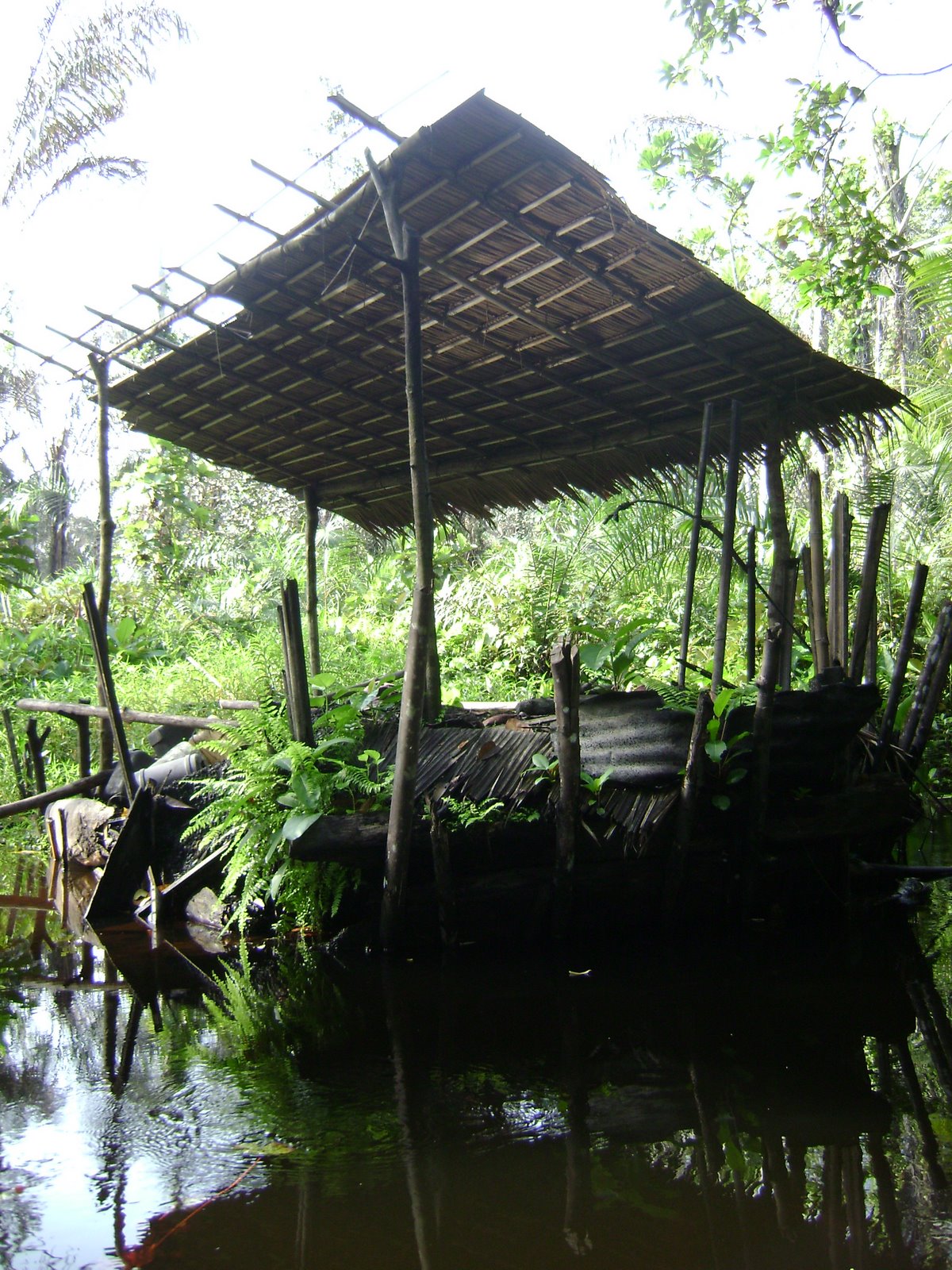 [DSC01359.JPG]