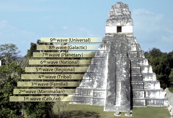 energy pyramid tropical rainforest. The Cosmic Pyramid, or the