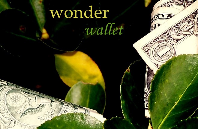Wonder Wallet